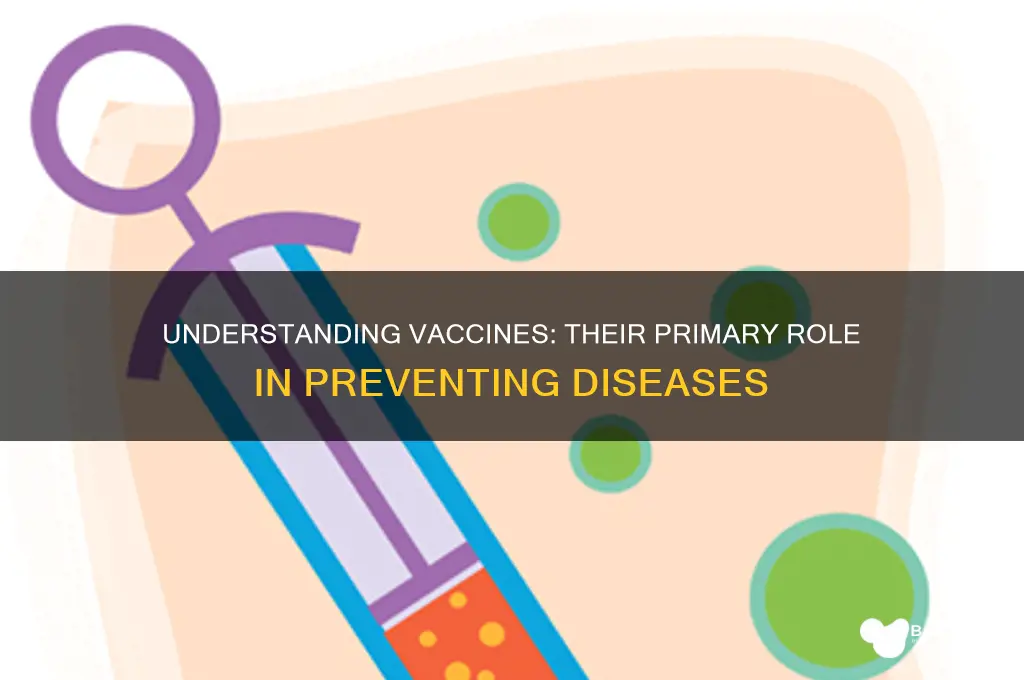 what is the primary function of vaccine
