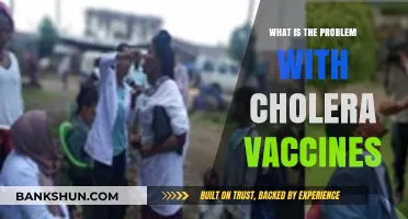 Cholera Vaccines: Efficacy, Accessibility, and Global Health Challenges Explored