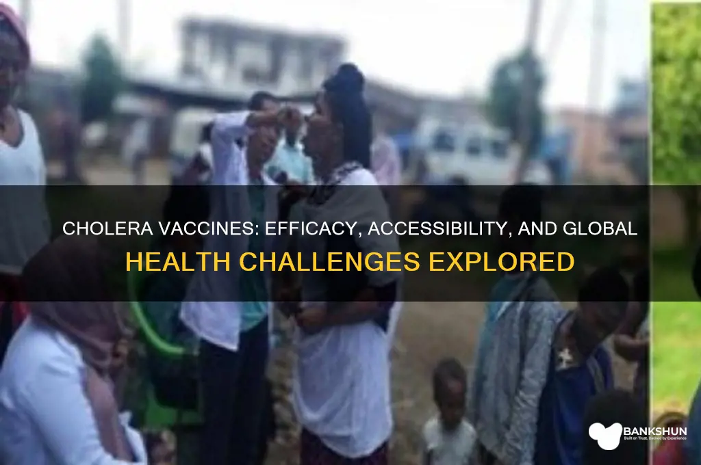 what is the problem with cholera vaccines