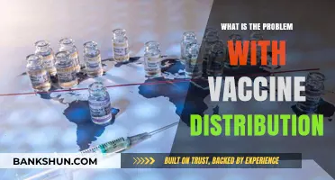 Unequal Vaccine Distribution: Challenges, Inequities, and Global Health Implications