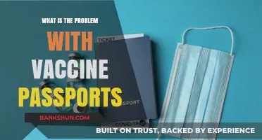 Vaccine Passports: Privacy, Equity, and Ethical Concerns Explored