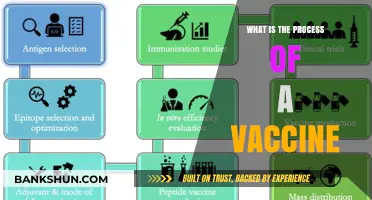 Understanding the Science: How Vaccines Are Developed and Administered
