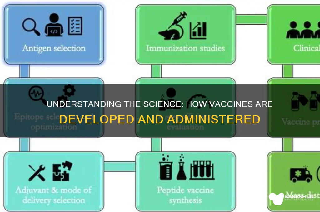 what is the process of a vaccine