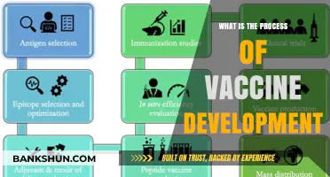 Understanding the Complex Journey of Vaccine Development and Approval