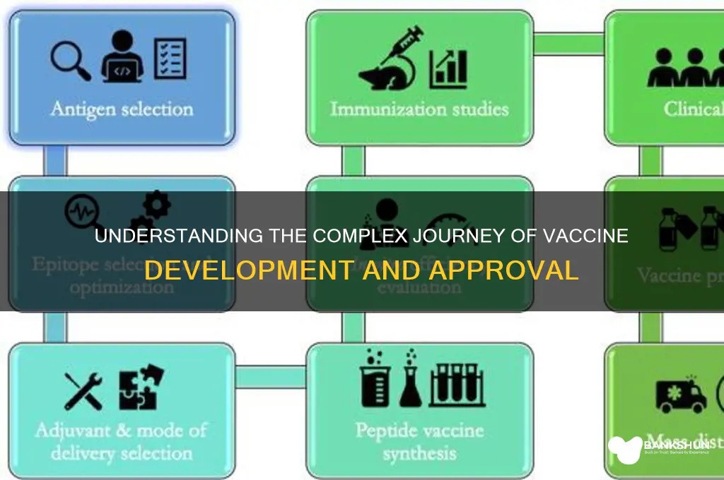 what is the process of vaccine development