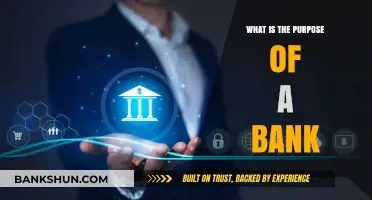 Banking Basics: Understanding the Core Purpose of Banks