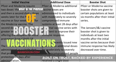 Understanding Booster Vaccinations: Purpose, Benefits, and Importance for Immunity