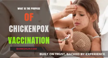 Understanding Chickenpox Vaccination: Purpose, Benefits, and Importance for Health