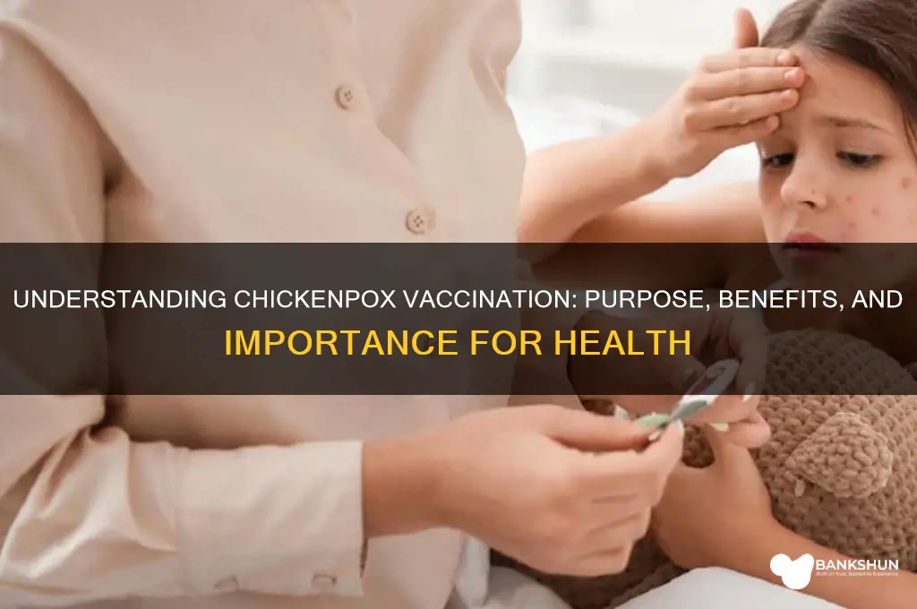 what is the purpose of chickenpox vaccination