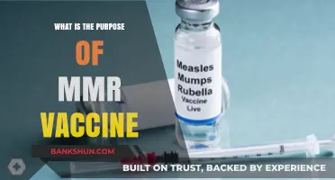 Understanding the MMR Vaccine: Purpose, Benefits, and Importance Explained