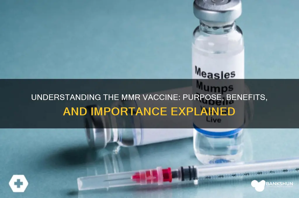 what is the purpose of mmr vaccine