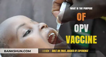 Understanding OPV Vaccine: Purpose, Benefits, and Importance for Children