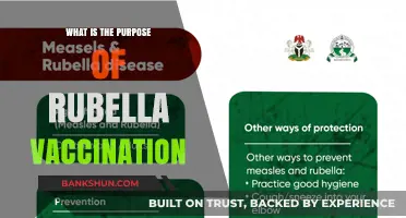 Understanding Rubella Vaccination: Protecting Health and Preventing Congenital Syndrome