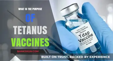 Understanding Tetanus Vaccines: Purpose, Protection, and Prevention Explained
