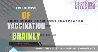 Understanding Vaccination: Purpose, Benefits, and Importance Explained Simply