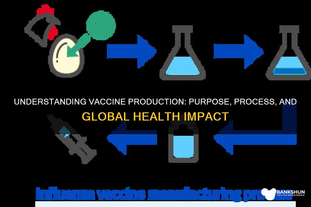what is the purpose of vaccine production