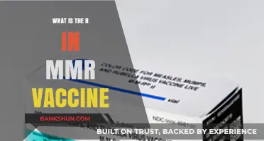 Understanding the R in MMR Vaccine: Rubella's Role Explained