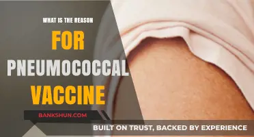 Understanding the Importance of Pneumococcal Vaccines for Health Protection