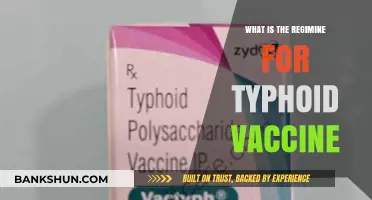 Understanding the Typhoid Vaccine Regimen: Dosage, Schedule, and Protection