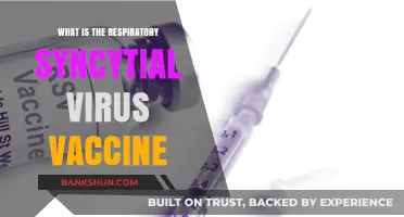 Understanding the RSV Vaccine: Prevention and Protection Explained