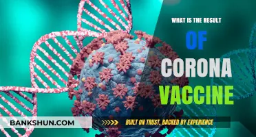 Understanding the Impact and Outcomes of the Corona Vaccine