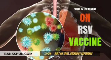 RSV Vaccine Reviews: Efficacy, Safety, and Public Health Impact