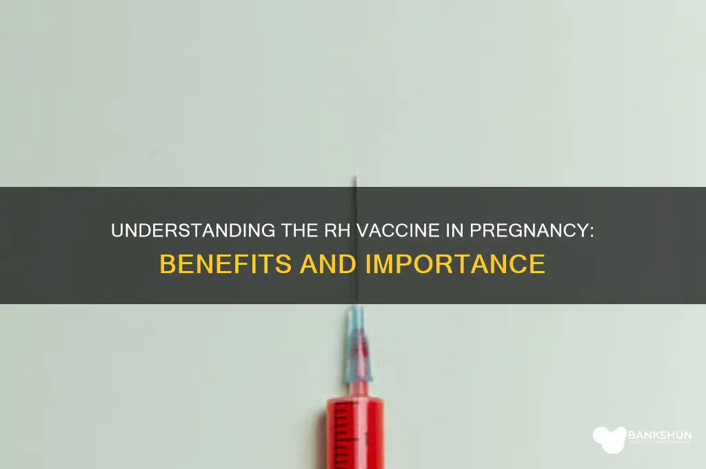what is the rh vaccine in pregnancy