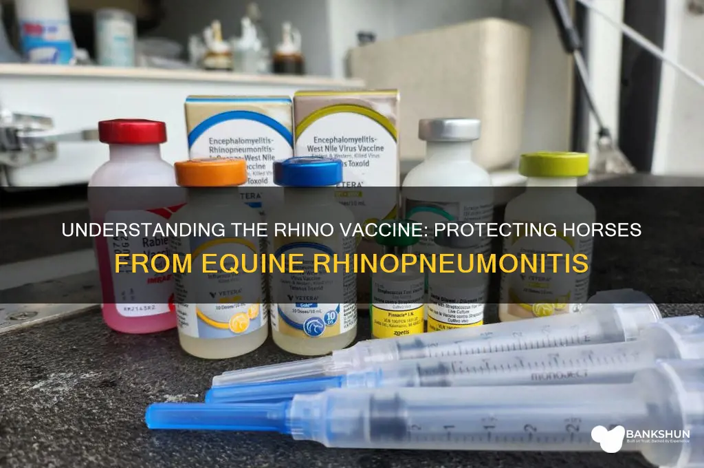 what is the rhino vaccine for horses