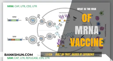 Understanding mRNA Vaccine Risks: Safety, Side Effects, and Concerns Explained
