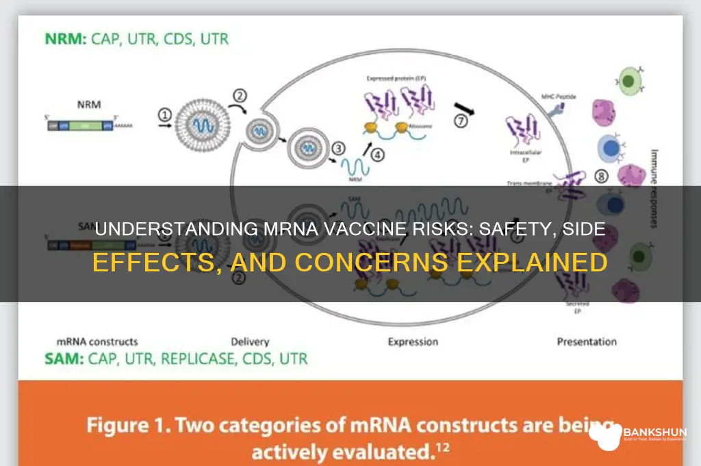 what is the risk of mrna vaccine