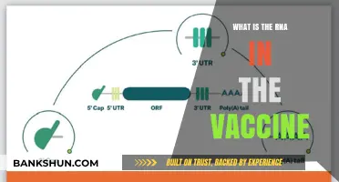 Understanding RNA in Vaccines: A Breakthrough in Modern Medicine