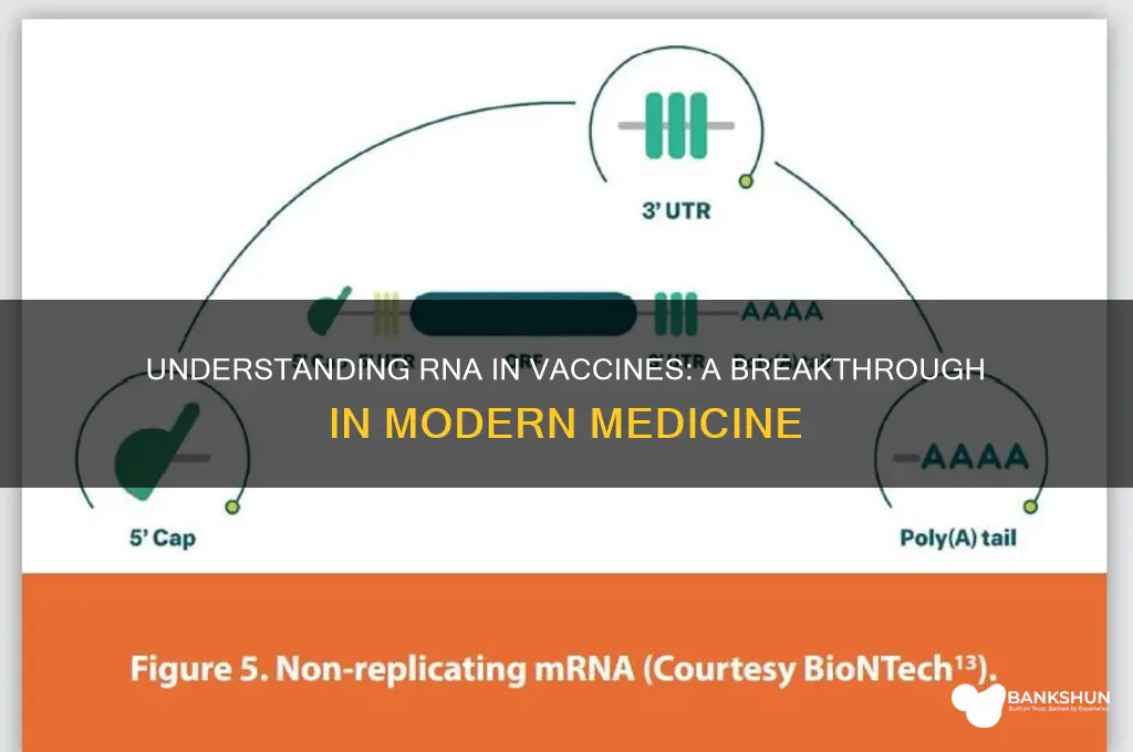 what is the rna in the vaccine
