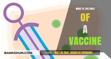 Understanding Vaccines: Their Crucial Role in Preventing Diseases and Saving Lives