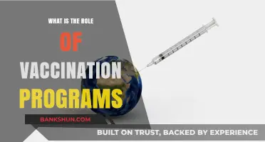 The Crucial Role of Vaccination Programs in Global Health Protection