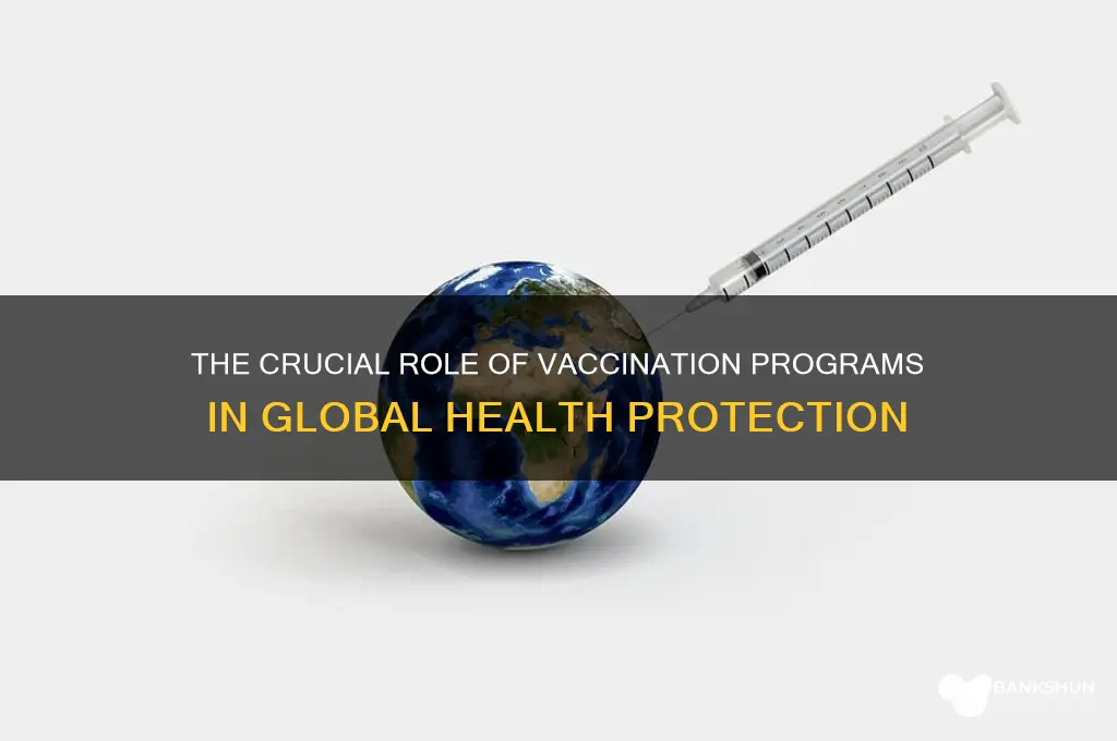 what is the role of vaccination programs