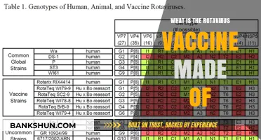Understanding Rotavirus Vaccine Composition: Ingredients and Their Role in Immunity