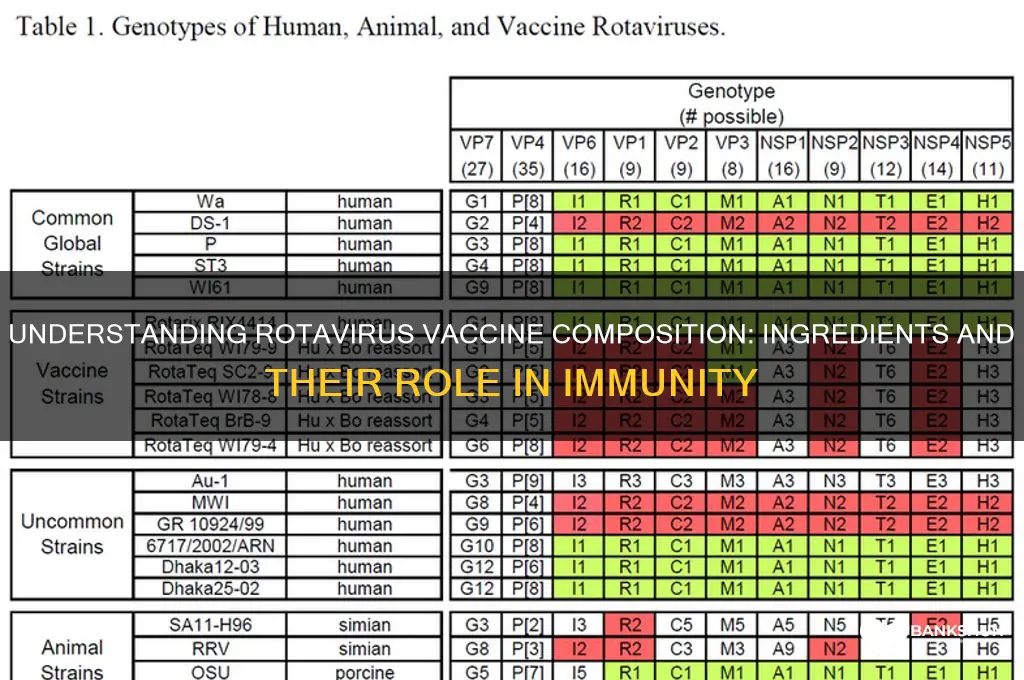 what is the rotavirus vaccine made of
