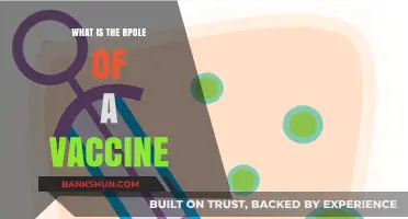 Understanding Vaccines: Their Crucial Role in Preventing Diseases and Saving Lives
