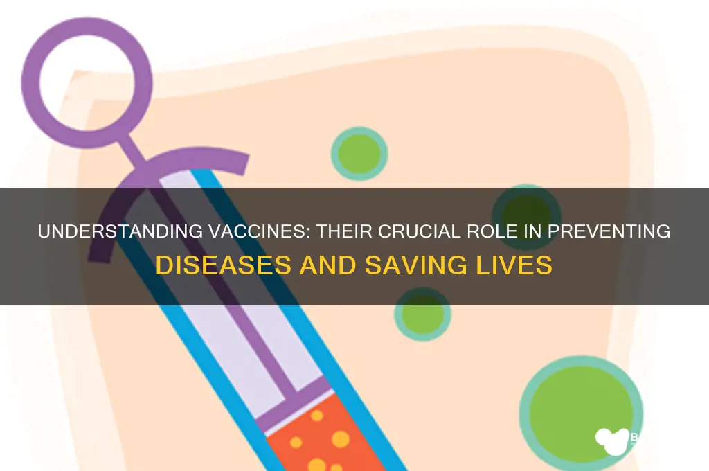 what is the rpole of a vaccine