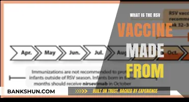 Understanding the RSV Vaccine: Ingredients and Composition Explained