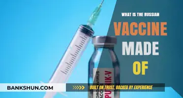 Understanding Russia's COVID-19 Vaccine: Ingredients and Composition Explained