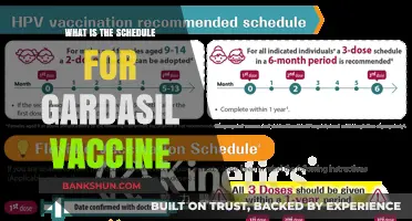 Gardasil Vaccine Schedule: Timing and Doses for Optimal Protection