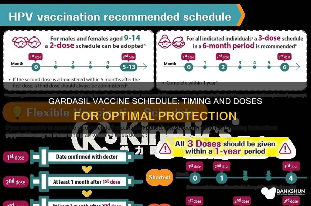 what is the schedule for gardasil vaccine