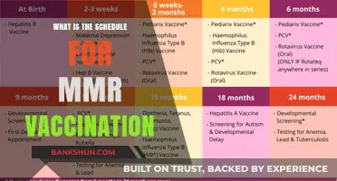 MMR Vaccination Schedule: Essential Timing for Measles, Mumps, Rubella Protection
