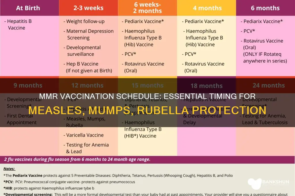 what is the schedule for mmr vaccination
