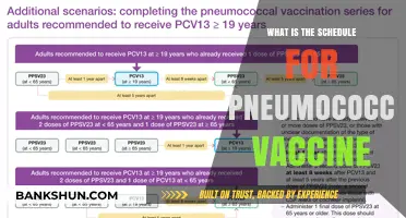 Pneumococcal Vaccine Schedule: Essential Timing for Optimal Protection