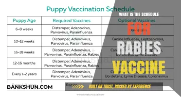Rabies Vaccine Schedule: Essential Timing for Prevention and Protection