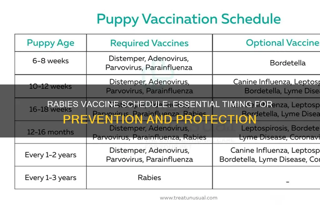 what is the schedule for rabies vaccine