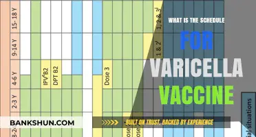 Varicella Vaccine Schedule: When to Get Your Child Immunized