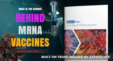 Unraveling mRNA Vaccines: The Science Behind This Revolutionary Technology